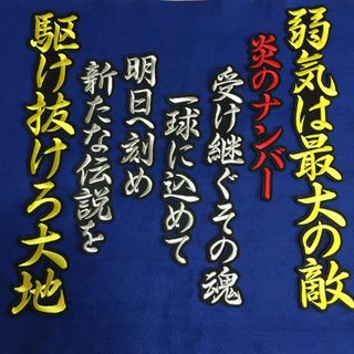 長文 応援歌　刺しゅう オーダーメイド(その他)