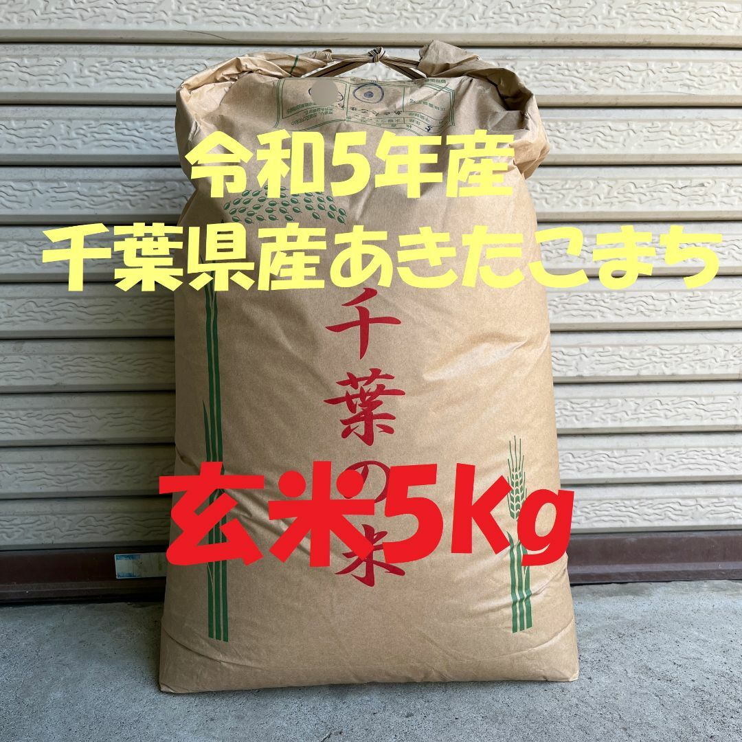 令和5年産 新米　千葉県産あきたこまち　検査1等米 玄米5kg(精米無料)