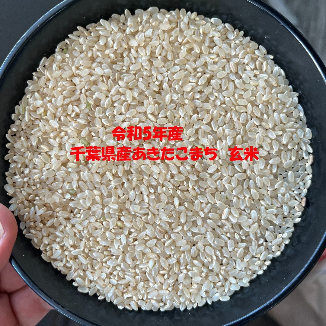 玄米20kg(精米無料)　新米　令和5年産　検査1等米　千葉県産あきたこまち　米/穀物