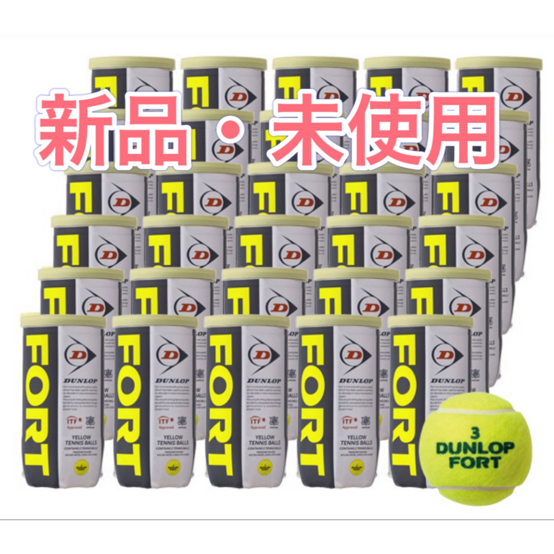 DUNLOP(ダンロップ)のFORT(フォート) 硬式テニスボール ダンロップ　30缶60球 スポーツ/アウトドアのテニス(ボール)の商品写真