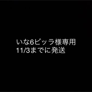 いな6ビッラ様専用 11/3までに発送(その他)