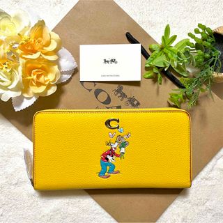 COACH コーチ　折り財布　ホワイト　白色　ドリーミーベジ柄