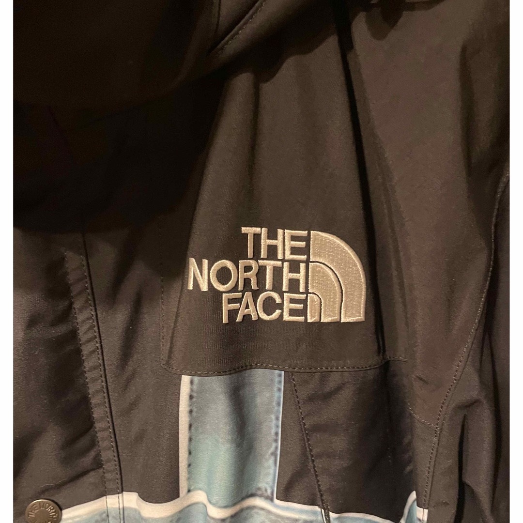 Supreme North Face Mountain Jacket 自由の女神