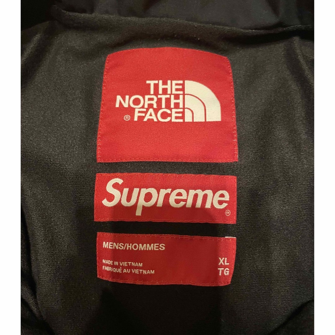 Supreme North Face Mountain Jacket 自由の女神