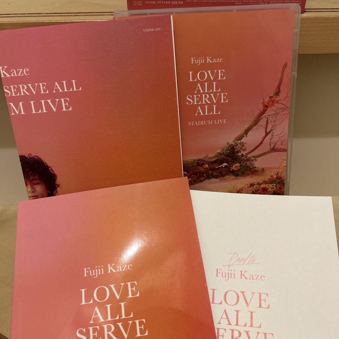 LOVE ALL SERVE ALL STADIUM LIVE 未使用未開封08帰ろう