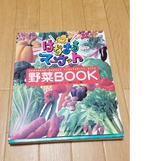 はなまるマ－ケット野菜ｂｏｏｋ(料理/グルメ)