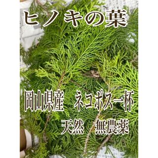 岡山県産　天然　無農薬　ヒノキ　檜の葉　ネコポス一杯　飾り　和食　彩り(その他)