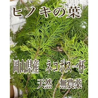 岡山県産　天然　無農薬　ヒノキ　檜の葉　ネコポス一杯　飾り　和食　彩り(その他)