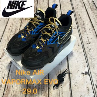 ナイキ AIR MAX スニーカー(メンズ)(ブルー・ネイビー/青色系)の通販