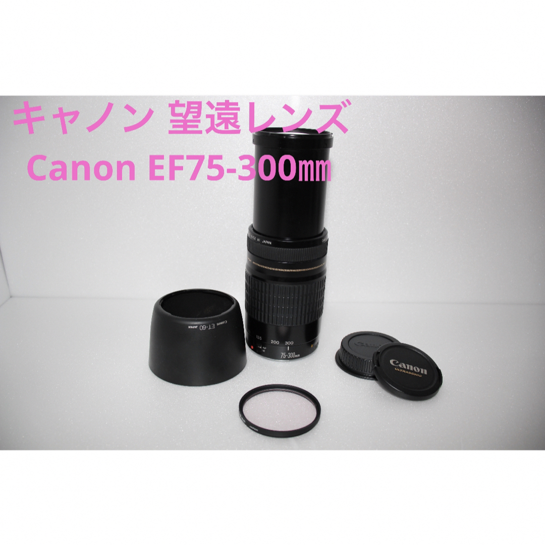 Canon - 遠くも撮れる！！キャノン 望遠レンズCanon EF75-300㎜の+