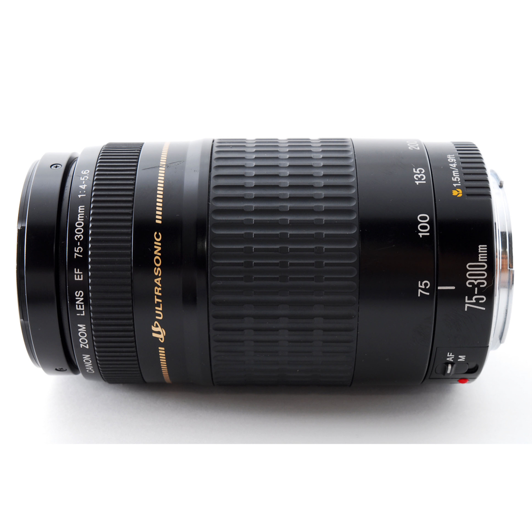 フード付き　イベント⭐︎スポーツ☆迫力300㎜☆ Canon EF75-300㎜