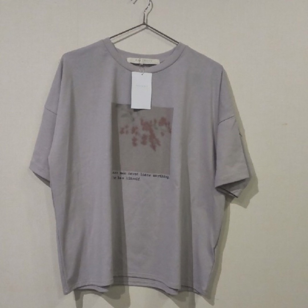 RayCassin(レイカズン)の新品 レイカズン 転写プリント 半袖Tシャツ フリーサイズ レディースのトップス(Tシャツ(半袖/袖なし))の商品写真