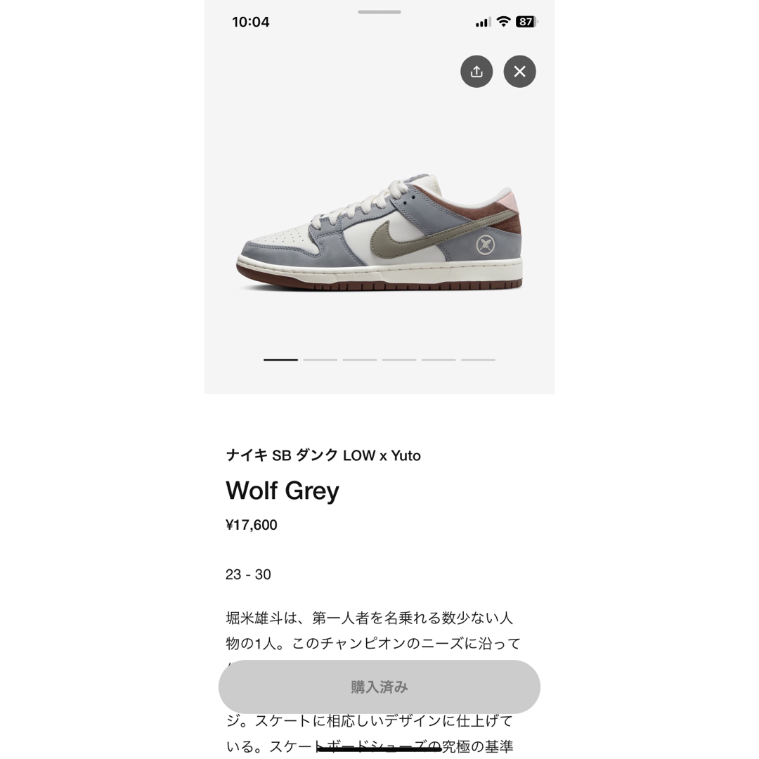 NIKE - 堀米雄斗× NIKE SB DUNK low Pro QS の通販 by はな's shop