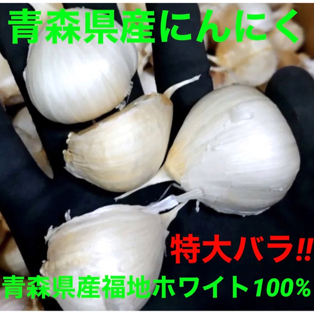 【新物】青森県産にんにくバラ特大500g 食品/飲料/酒の食品(野菜)の商品写真