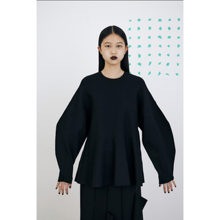 ENFOLD - 23SS エンフォルド DOUBLE FACE A-LINE PULLOVER の通販 by e ...