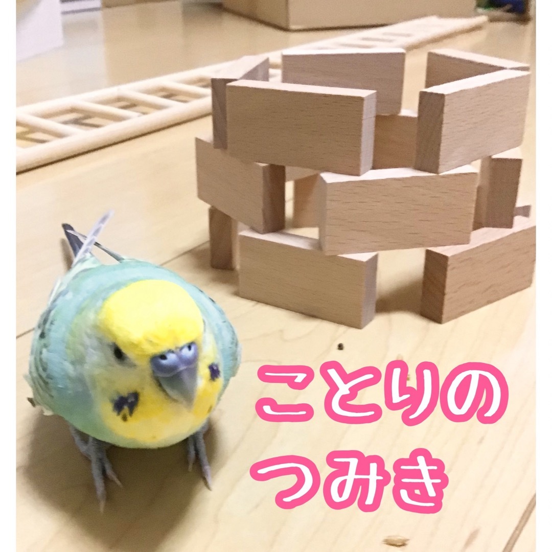 ことりのつみき★インコや文鳥の小鳥のおもちゃ　バードトイ　フォージング ハンドメイドのペット(おもちゃ/ペット小物)の商品写真