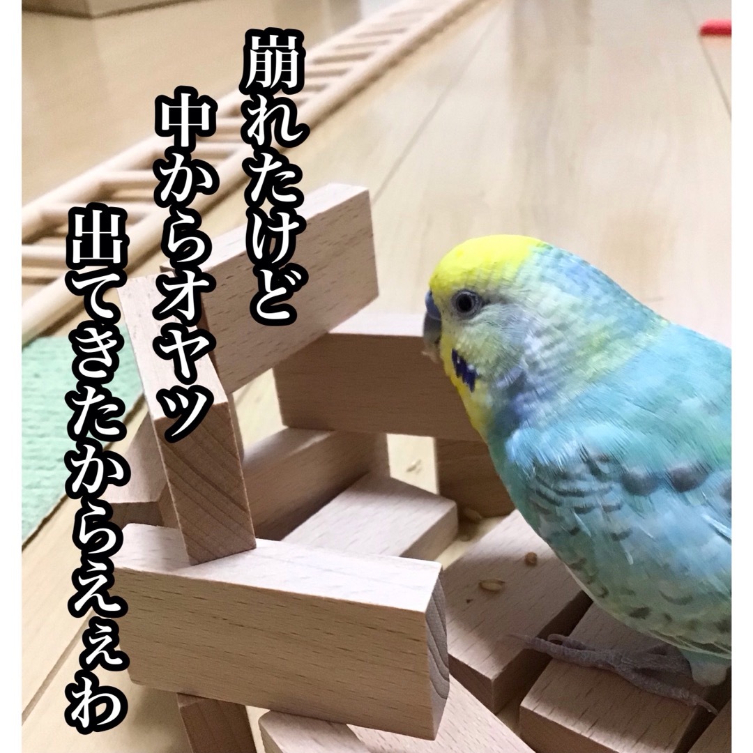 ことりのつみき★インコや文鳥の小鳥のおもちゃ　バードトイ　フォージング ハンドメイドのペット(おもちゃ/ペット小物)の商品写真