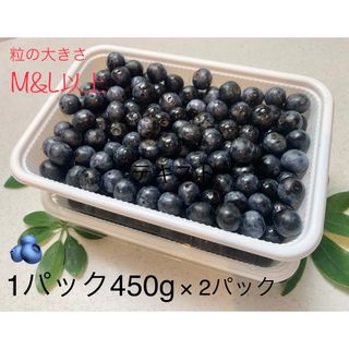 大粒ブルーベリー🫐摘みたて450g×2パック(フルーツ)