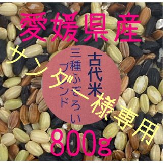 サンダー様専用　古代米3種ふぞろいブレンド　愛媛県産　800ｇ(米/穀物)