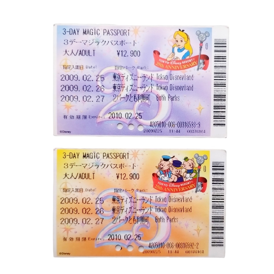 Disney(ディズニー)の東京ディズニーリゾート　ランド　シー　パスポート　チケット　マップ　パンフレット エンタメ/ホビーの本(地図/旅行ガイド)の商品写真
