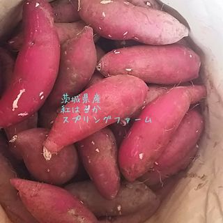 新物初物正規品Sサイズ10㌔重量おまけ付R5年紅はるか土付茨城県減農薬栽培