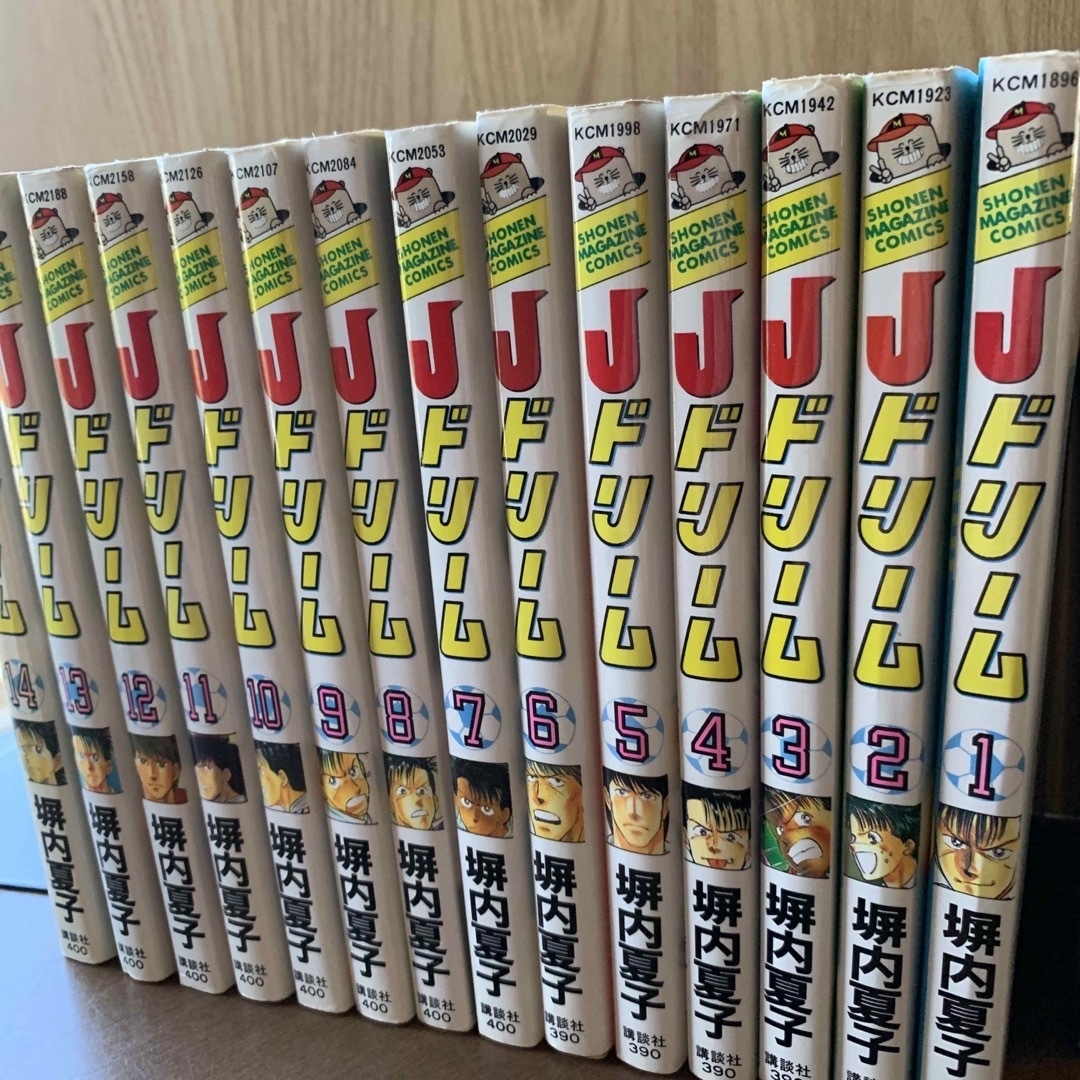 全巻セット】「Jドリーム」全14巻 塀内夏子＆おまけJドリーム完全燃焼