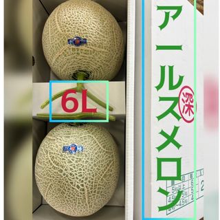 長崎産アールスメロン　6L2玉(フルーツ)