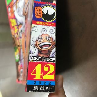 保証付き購入 週刊少年ジャンプ号ワンピース ニカルフィ