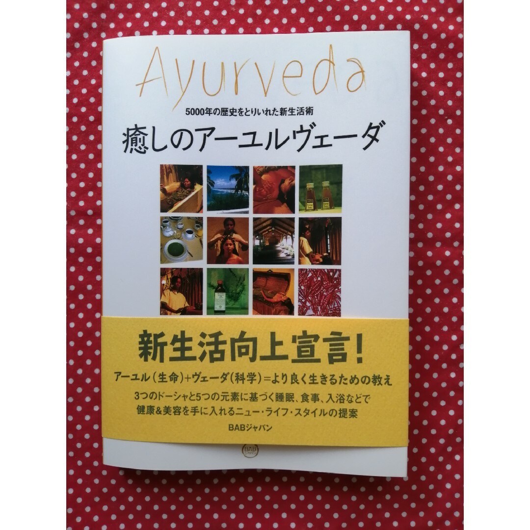 癒しのア－ユルヴェ－ダ ５０００年の歴史をとりいれた新生活術 エンタメ/ホビーの本(住まい/暮らし/子育て)の商品写真