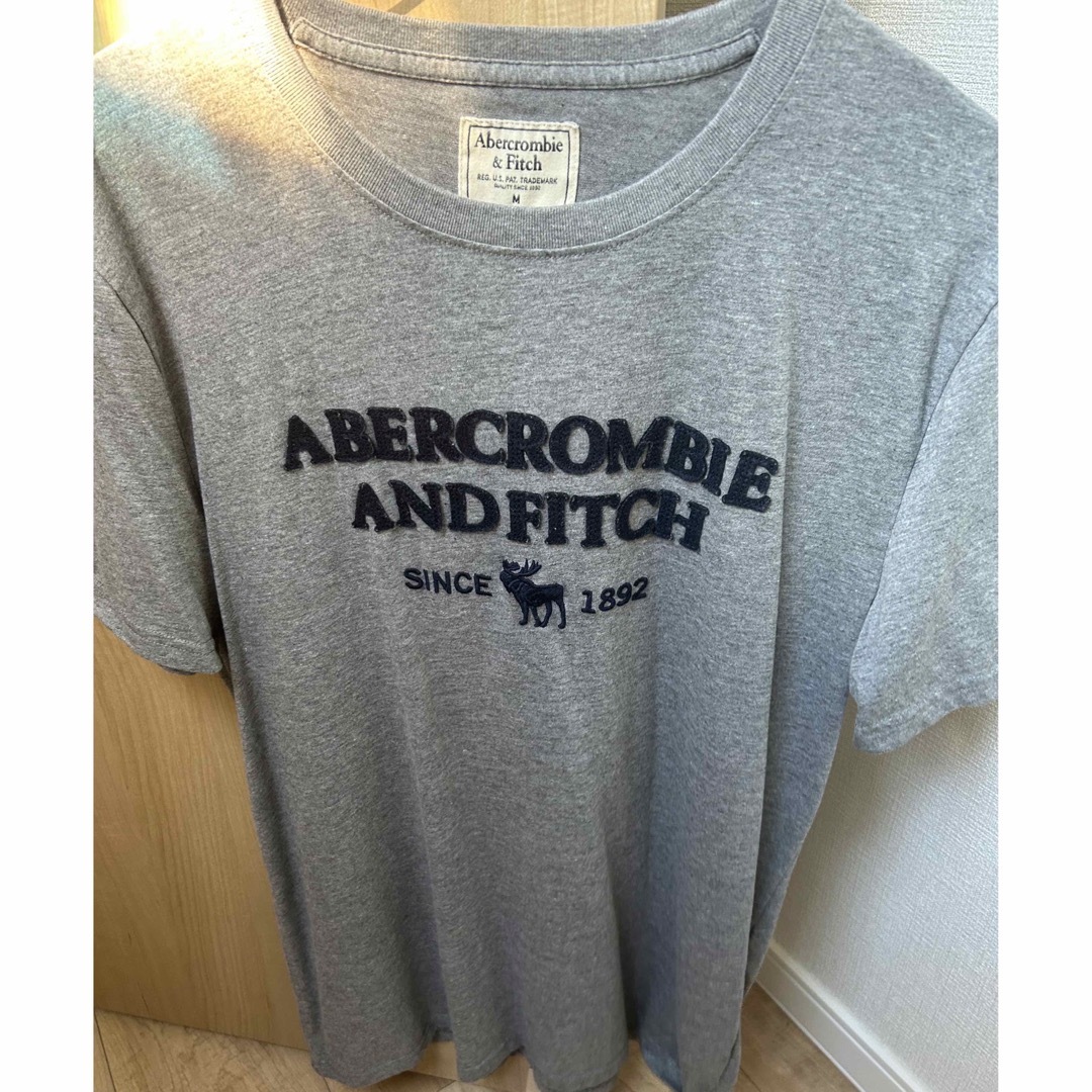 Abercrombie&Fitch(アバクロンビーアンドフィッチ)のｱﾊﾞｸﾛ Tシャツ　グレー　Mサイズ メンズのトップス(Tシャツ/カットソー(半袖/袖なし))の商品写真