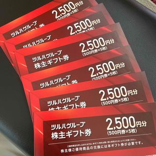 【最新・匿名発送】ツルハ　株主優待券(その他)
