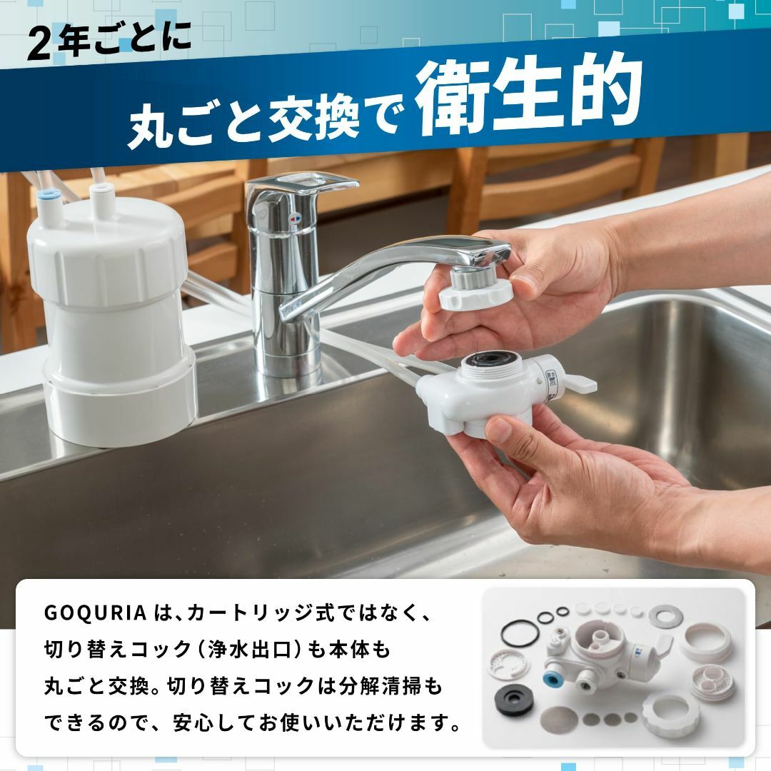 公式】 卓上浄水器 GOQURIA (ゴクリア) ブルー/ホワイト 2年交換 浄水機