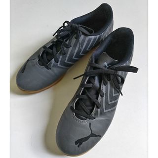 プーマ 体育館シューズ シューズの通販 13点 | PUMAのスポーツ