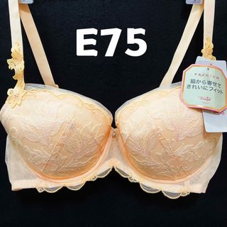 トリンプ(Triumph)のトリンプ　E75 プレミアム　レッドレーベル0063ブラジャー(ブラ)