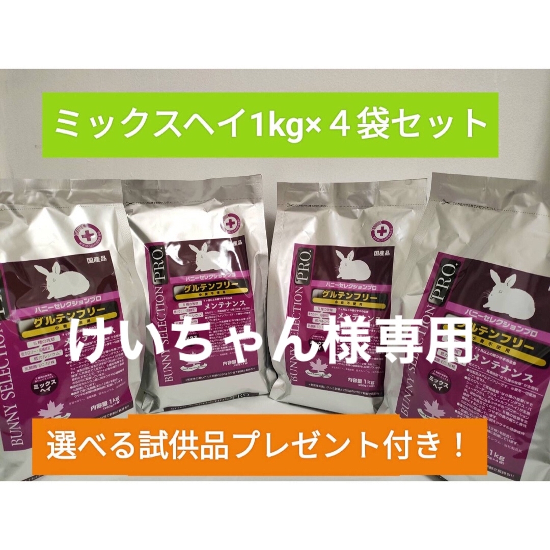 バニーセレクションプログルテンフリーメンテナンスミックスヘイ1kg×4