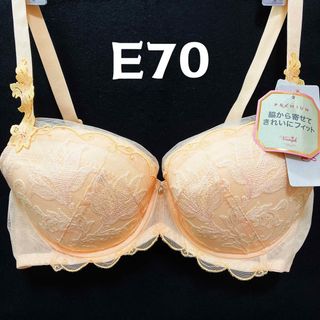 トリンプ(Triumph)のトリンプ　E70 プレミアム　レッドレーベル0063ブラジャー(ブラ)