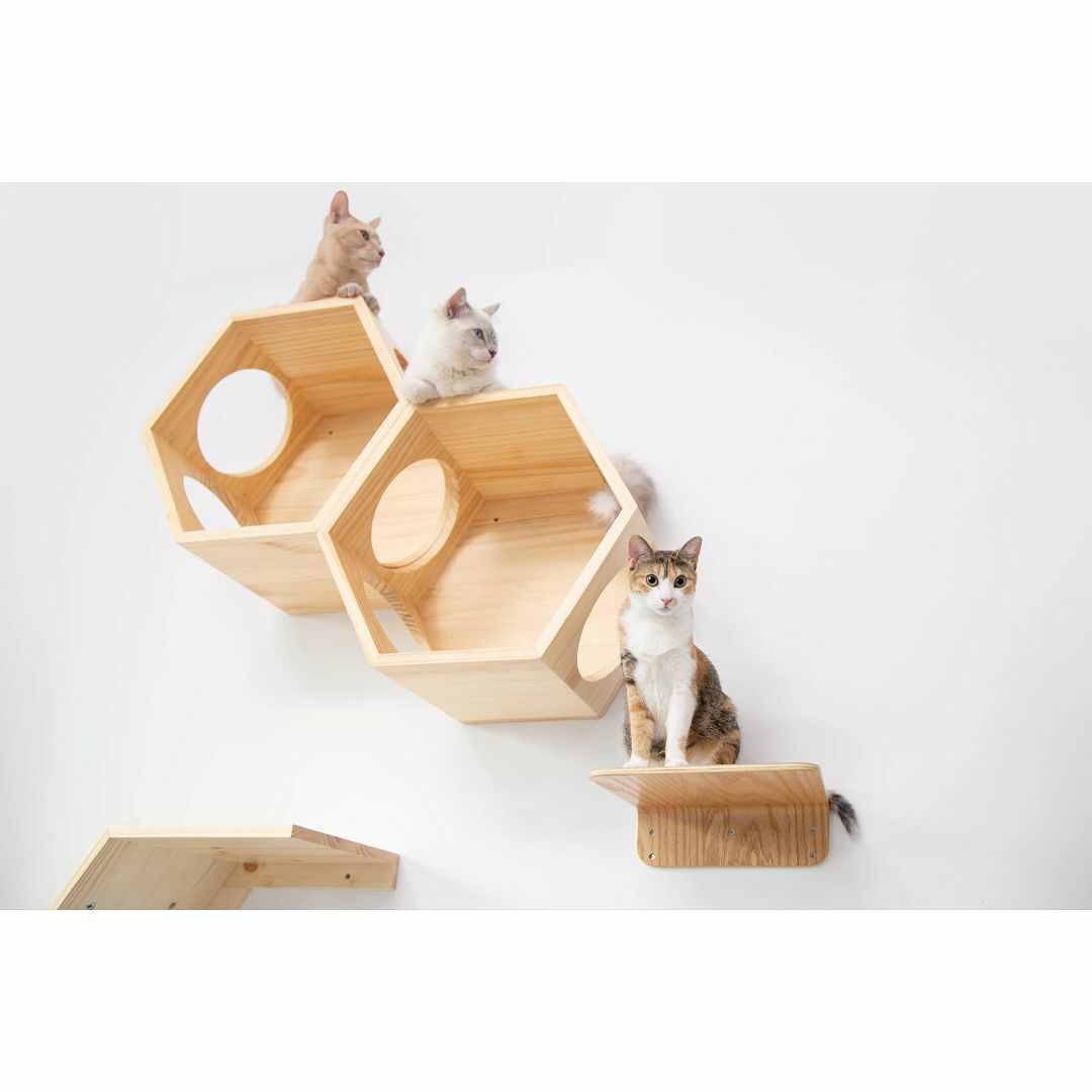 MYZOO 六角ハウス 猫ハウス 【質感のある無垢材】キャットステップ 壁付け対