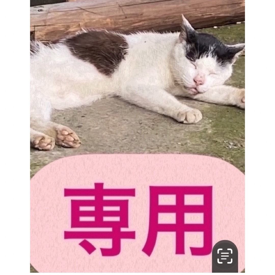 さなちゃん様専用 社長夫妻からの頂き物 座敷わらしの宿のお財布守り石 | フリマアプリ ラクマ