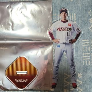 5ページ目 - 東北楽天ゴールデンイーグルス スポーツ 応援グッズの通販 ...