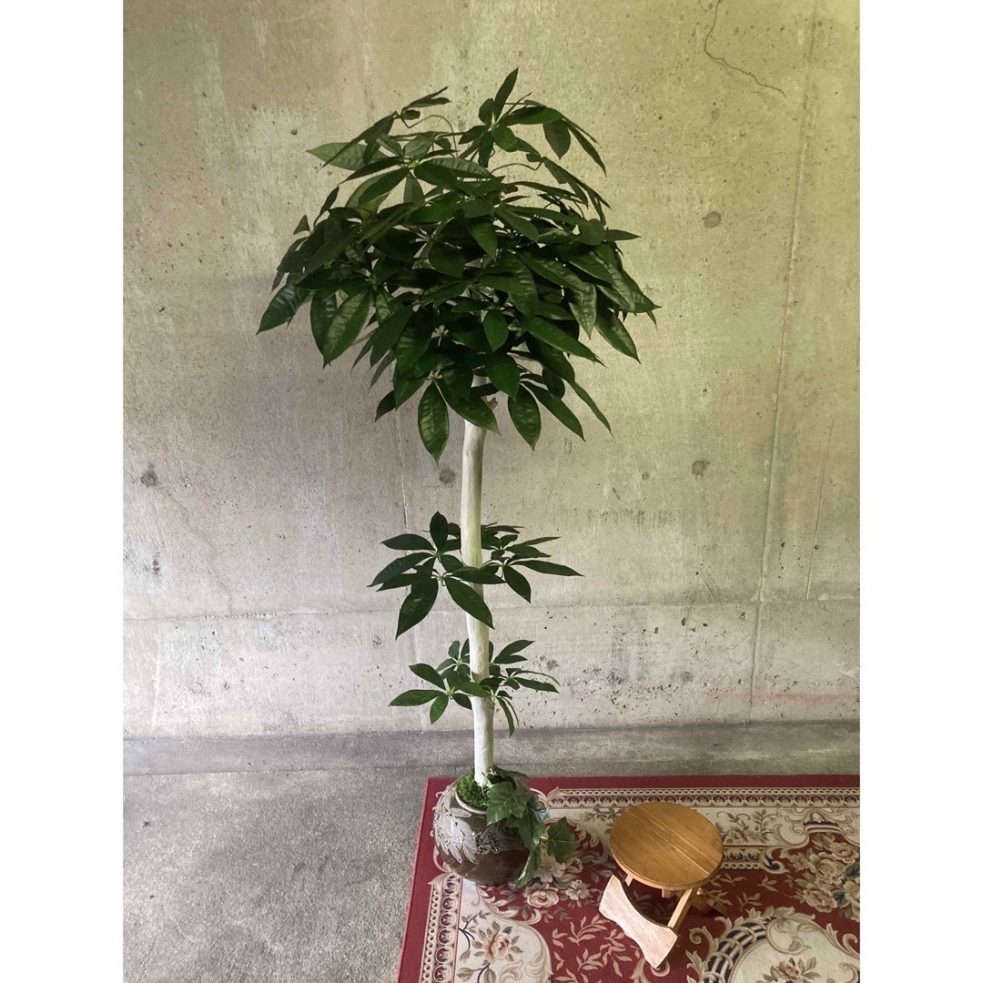 光触媒　人工観葉植物　ウォールグリーン　フェイクグリーン　アジアン風パキラgja