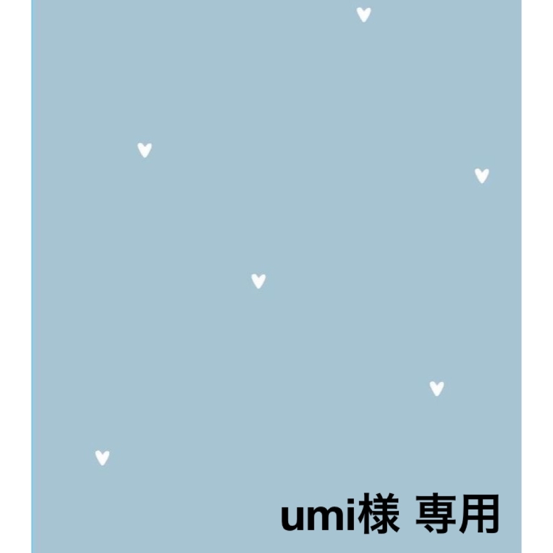 umi様 専用ページ おまとめの通販 by so_ai's shop｜ラクマ