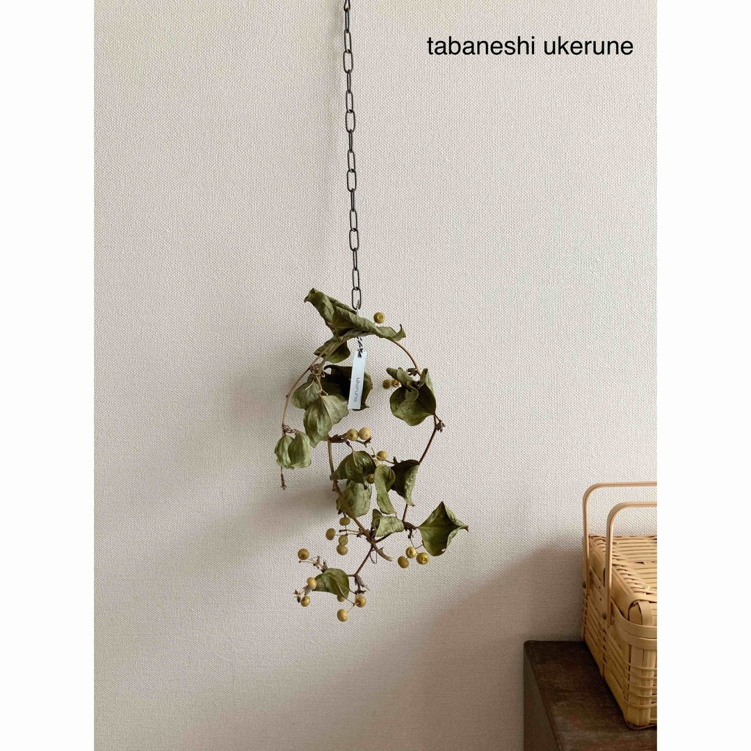 若草色の実が綺麗な瀬戸内サンキライのシンプルな吊り下げ　リース　ドライフラワー