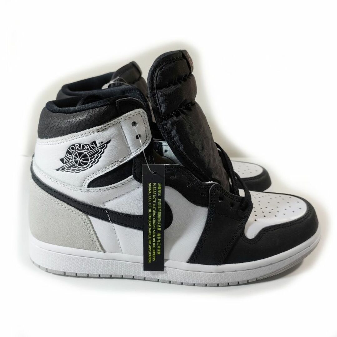 Air Jordan 1 High OG "Lost & Found 27cm