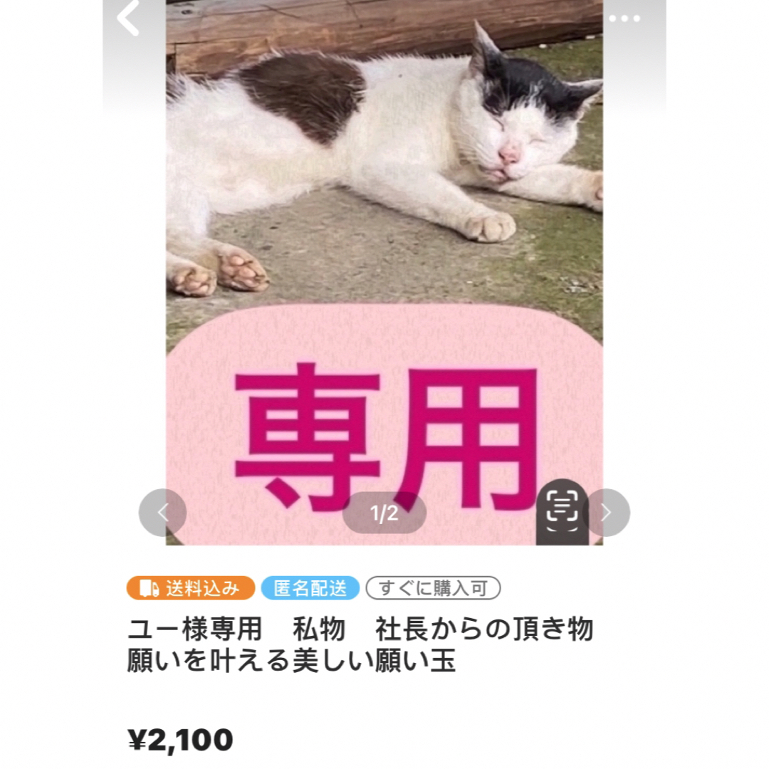 ユー様専用 私物 社長からの頂き物 願いを叶える美しい願い玉の通販 by