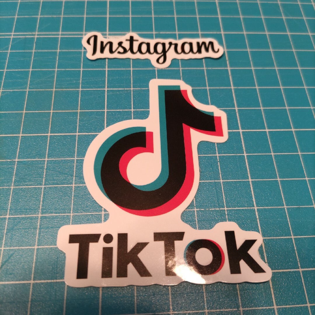 インスタグラム　防水ステッカー　TikＴok インテリア/住まい/日用品の文房具(シール)の商品写真