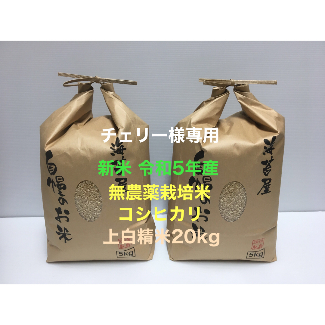 チェリー様専用 新米 無農薬コシヒカリ上白精米20kg(5kg×4)令和5年産の