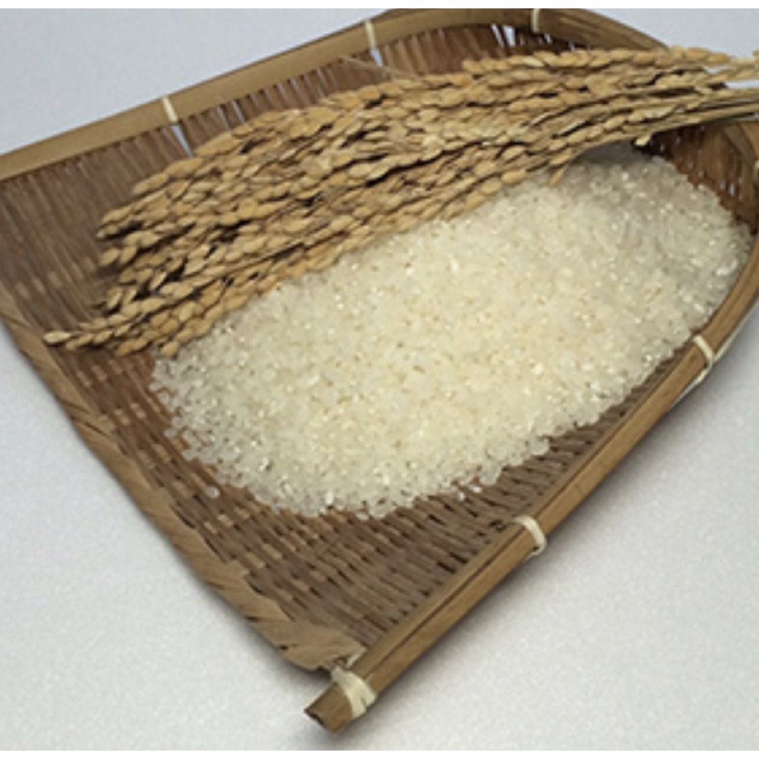 チェリー様専用 新米 無農薬コシヒカリ上白精米20kg(5kg×4)令和5年産の