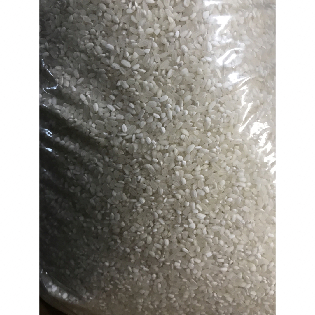 コスパ米20kg(5kg×4袋)お米　白米