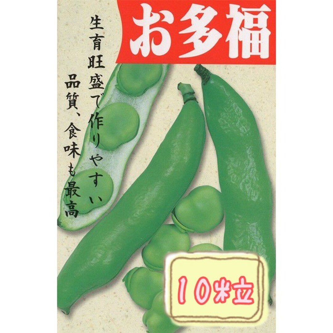 野菜の種 【そら豆】お多福① 食品/飲料/酒の食品(野菜)の商品写真