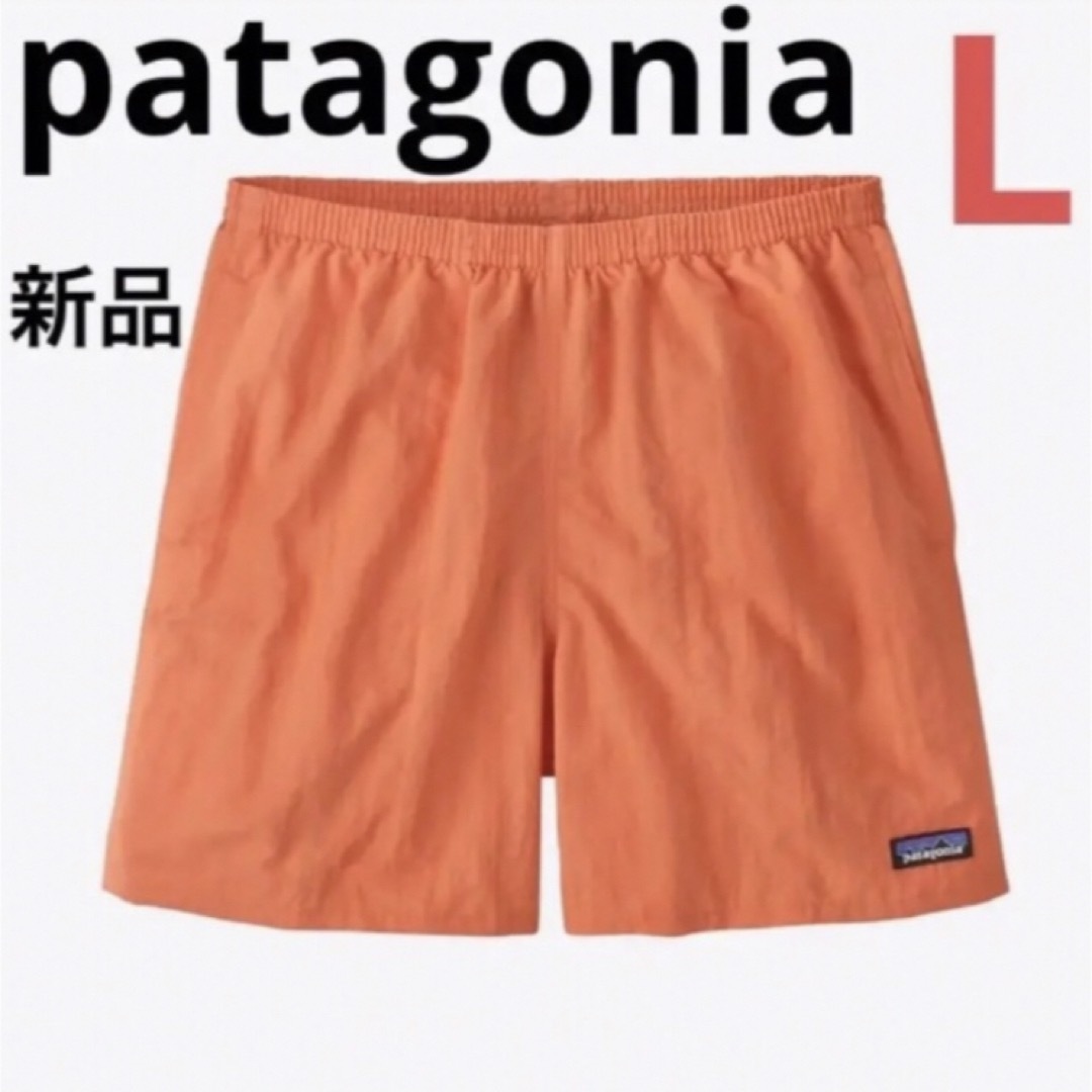 patagonia - 新品‼️patagonia バギーズショーツ⭐️5インチ⭐️水陸